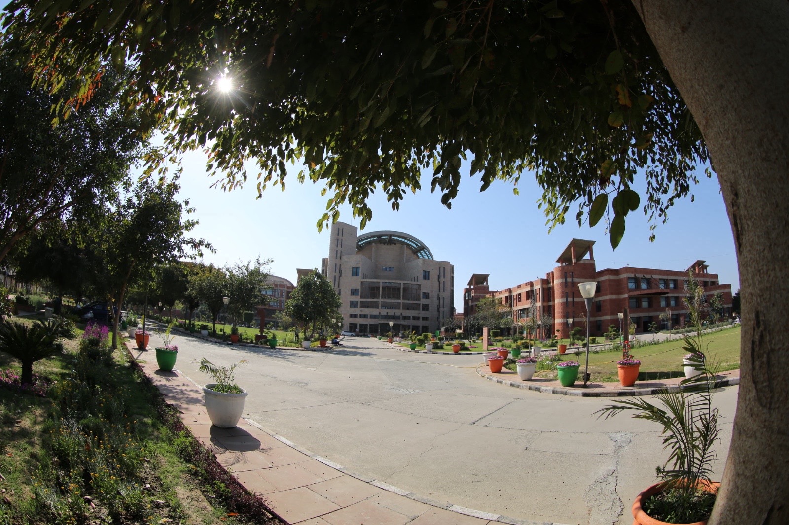 सुपवा में 23 जुलाई को साहित्य सम्मान समारोह, मुख्यमंत्री नायब सिंह सैनी होंगे मुख्य अतिथि