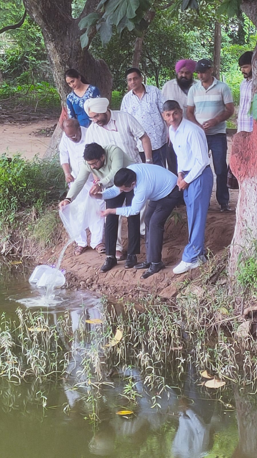 वेक्टर जनित रोगों की रोकथाम के लिए सेक्टर-26 स्थित बटरफ्लाई पार्क में छोड़ी गईं गैंबूसिया मछलियां