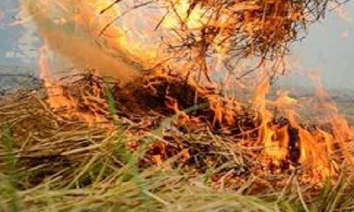 हरियाणा सरकार द्वारा उठाए गए कदमों की केंद्र सरकार ने की सराहना